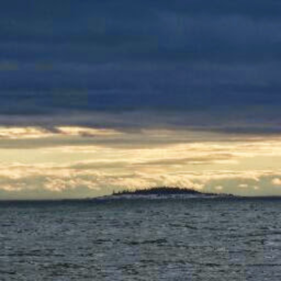 Meet your Posher, Malika - Picture 1 of 1